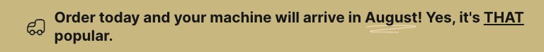 Picture of Erne website showing that Erne pickleball machine wouldn't be delivered until 2 months later