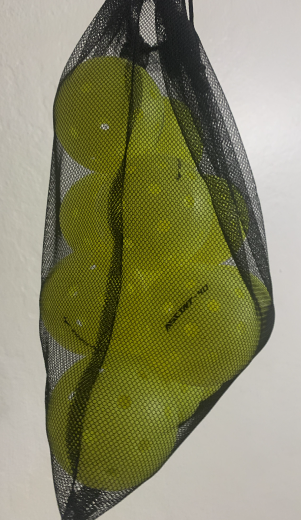 Mesh bag containing Warping Point outdoor pickleball balls.